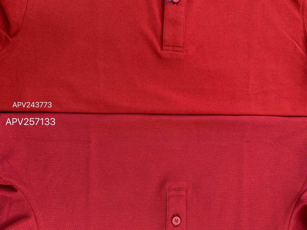 ÁO THUN POLO APV243773 - Ảnh 5
