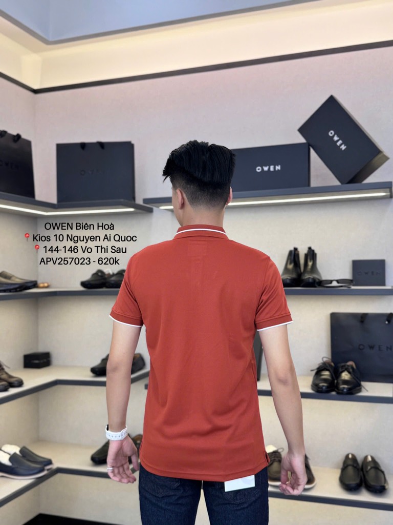 ÁO THUN POLO APV257023 - Ảnh 3