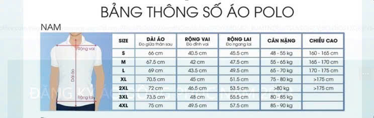 ÁO THUN POLO APV257062 - Ảnh 5