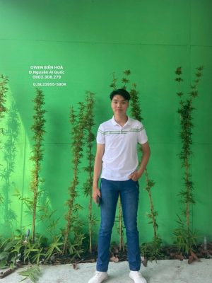 Alternative view of QUẦN JEAN QJSL23955