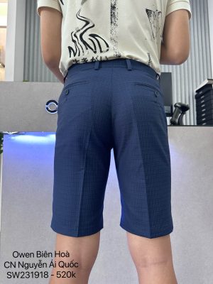 Alternative view of QUẦN SHORT SW231918