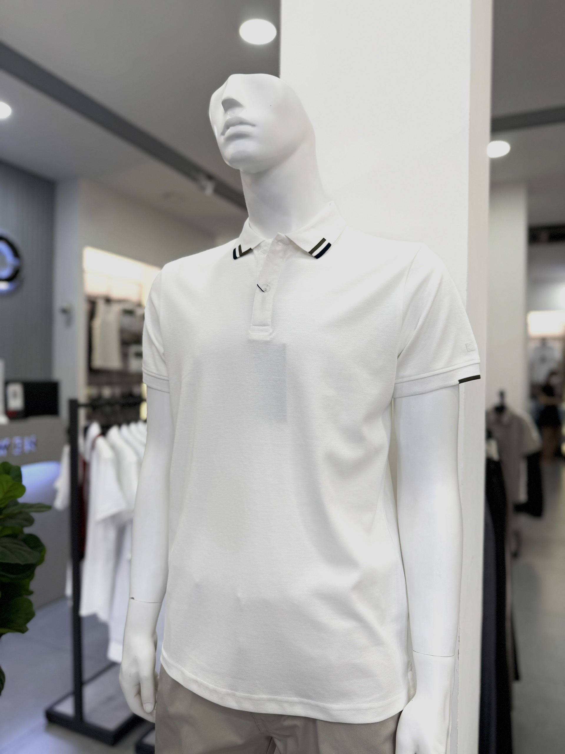 ÁO THUN POLO APV257068 - Ảnh 6